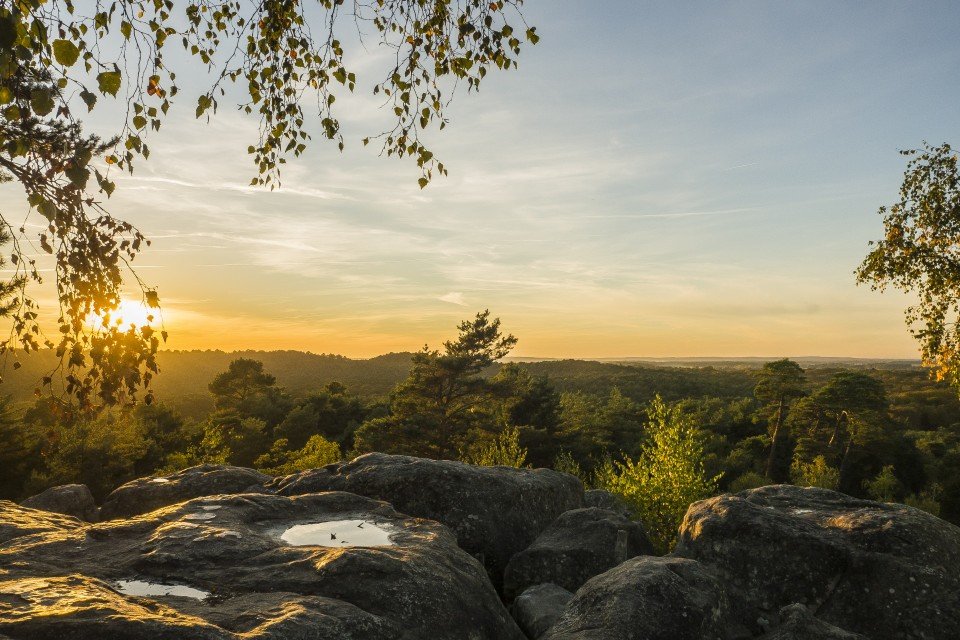 Forêt de Fontainebleau